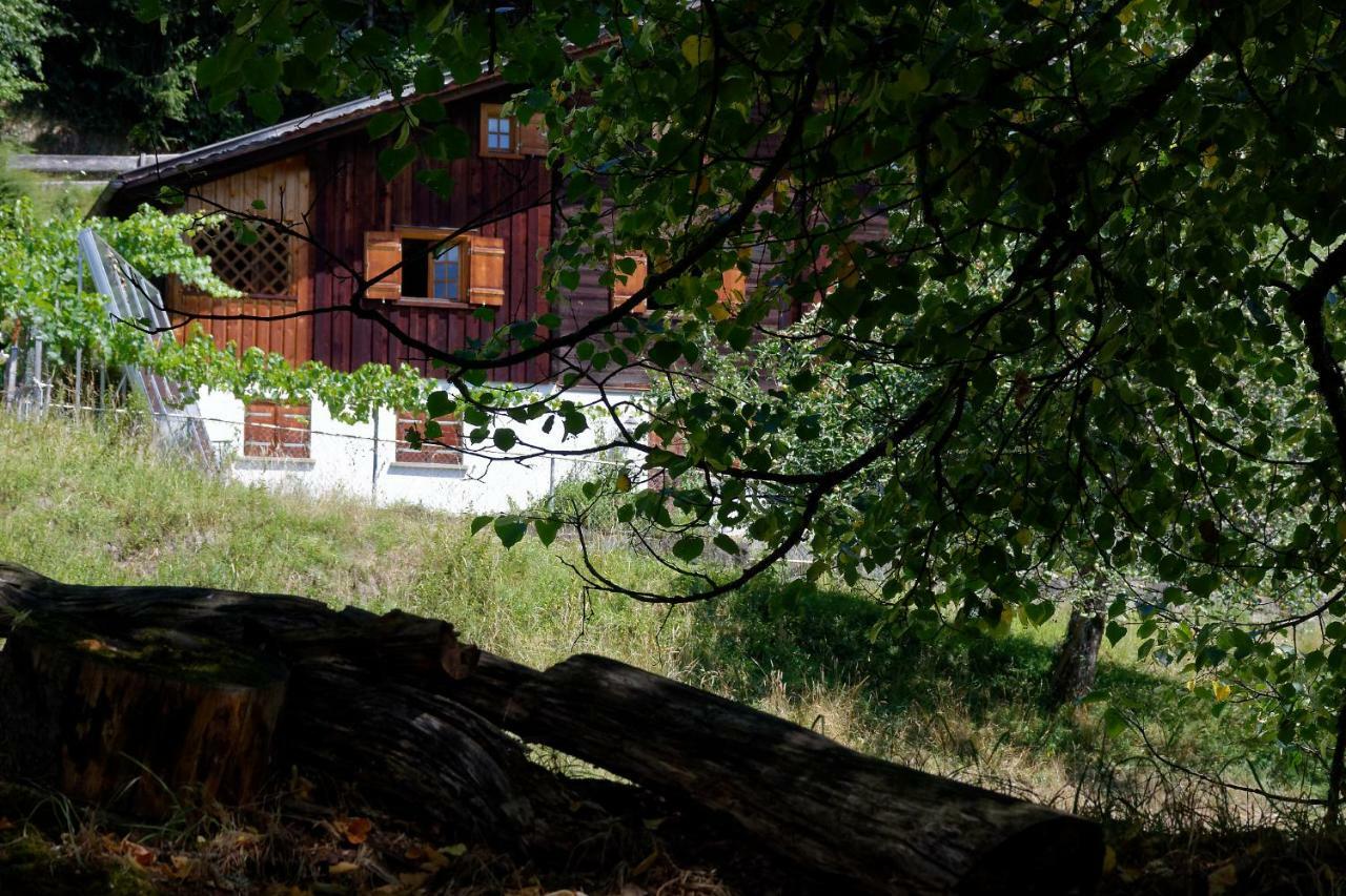 Landhaus Tenne Bartholomäberg Exteriör bild